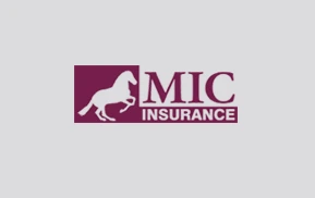 Mic Insurance